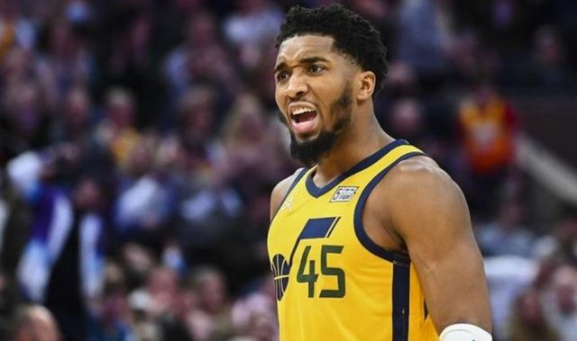 琦的屏障保 琦的屏障保